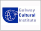  ó νƼƩƮ(GCI : Galway Cultural Institute, Galway) ΰ