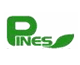 ν п(Pines International Academy) ΰ