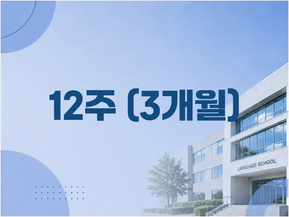 12주 300만원대 추천 학교