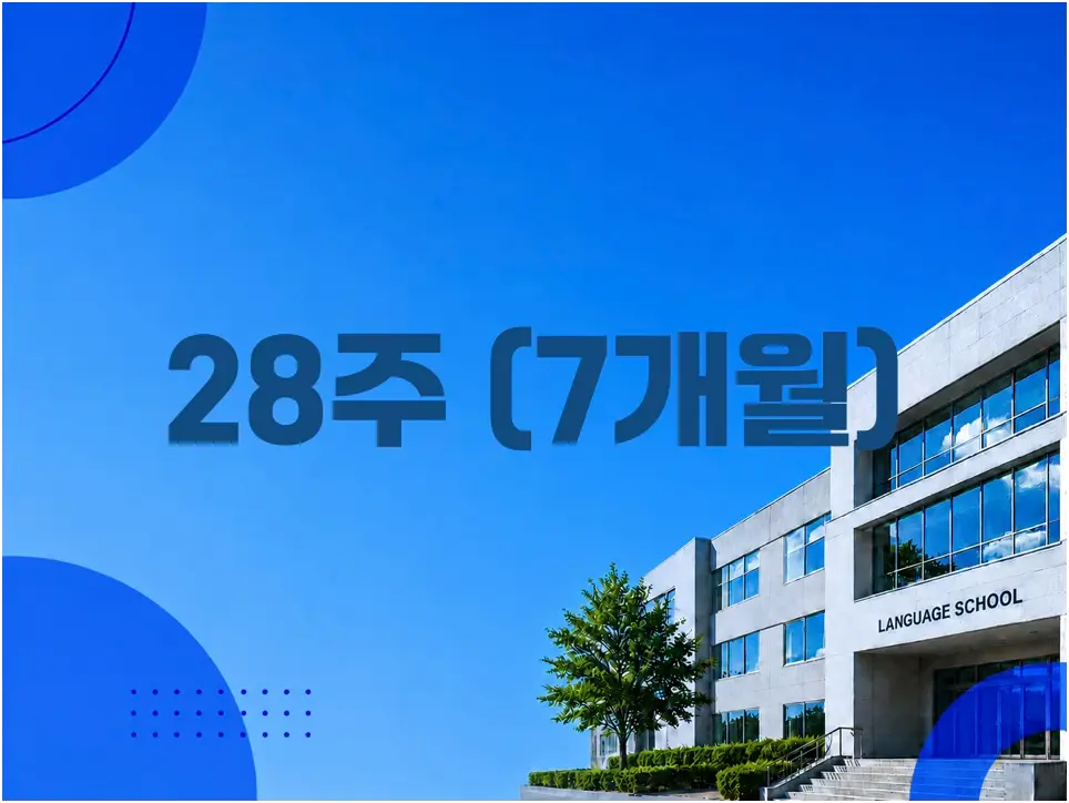 28주 800만원대 추천 학교