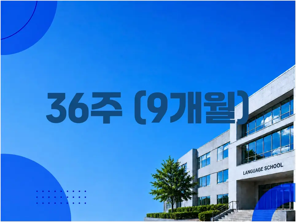 36주 900만원대 추천 학교
