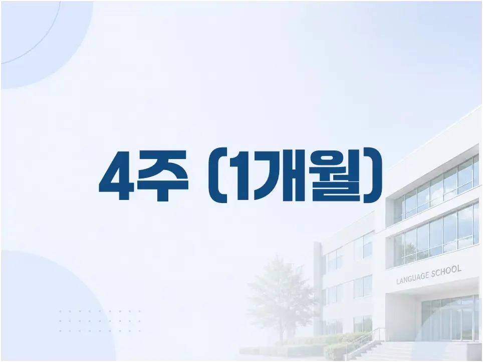 4주 200만원대 추천 학교